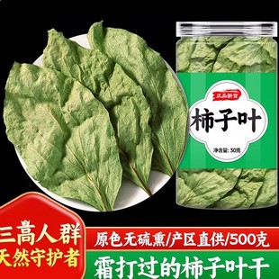 柿子叶中材药干柿子叶新鲜干货可打柿子叶粉柿叶霜后新货柿子树叶