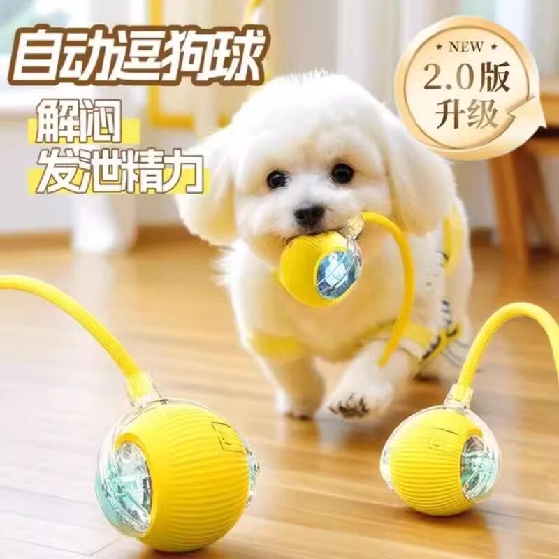 自动遛狗球狗狗玩具耐咬自嗨解闷神器充电智能电动宠物猫咪玩具球
