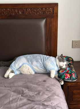 猫咪衣服夏季薄款透气防掉毛超轻薄网纱弹力四脚衣猫狗床上睡衣