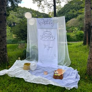 【森林派对~】生日场景布置装饰户外ins风背景布拍照道具网纱挂布