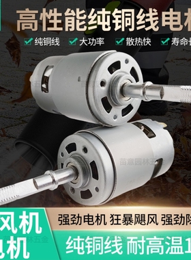 锂电吹风机暴风机775大功率电机高性能高转速大风力纯铜线马达