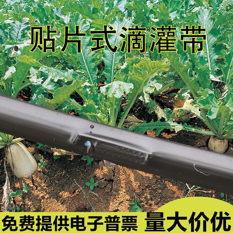 滴灌管农用16mm贴o片式滴灌带草莓葡萄大棚pe滴管微喷灌溉设备配