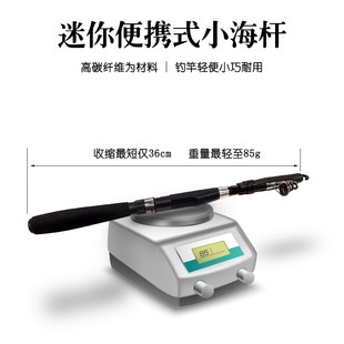 素杆迷你钓鱼竿X抛川远投竿 今年流行玉竿短节可携碳小海竿超硬式