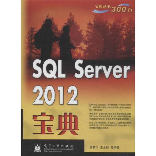 正版SQLServer2012宝典廖梦怡王金柱等编著