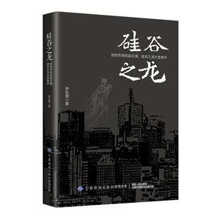 正版硅谷之龙钟东霖