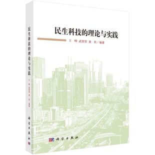 正版 理论与实践王峥武霏霏龚轶著 民生科技