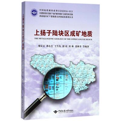 正版上扬子陆块区成矿地质廖震文蒋小芳王生伟周清侯林著