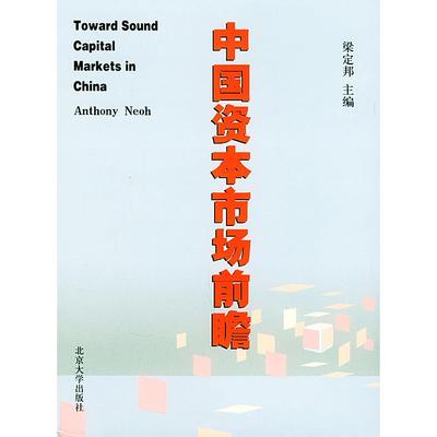 正版中国资本市场前瞻梁定邦编