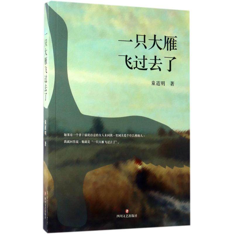 正版一只大雁飞过去了童道明著,书籍/杂志/报纸,中国近代随笔,淘宝优惠券,粉丝福利购,淘宝优惠卷