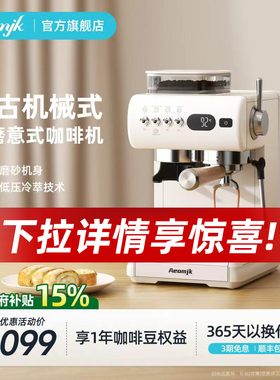 【新品】艾摩客Aeomjk/CM5580冷热双萃机械式复古家用小型咖啡机