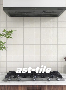 Asttile意大利进口泽丽石膏白色墙砖厨房卫生间浴室瓷砖地砖100