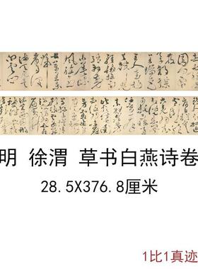 徐渭草书白燕诗卷古代书法字画狂