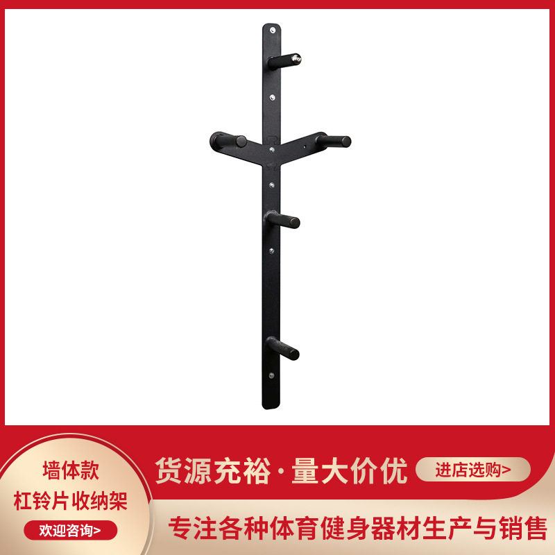 墙挂式杠铃片挂架三层五层六层挂片杆墙体哑铃架健身器材收纳架