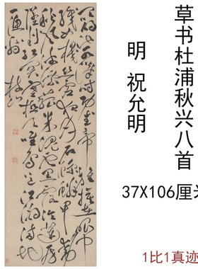 祝允明草书杜浦秋兴八首复古书法