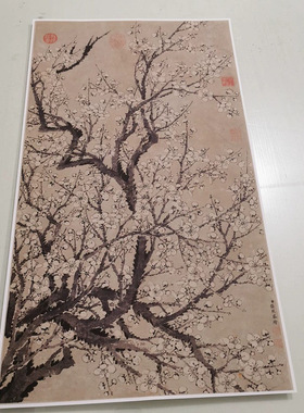 张照墨梅图轴复古书画梅竹国画真