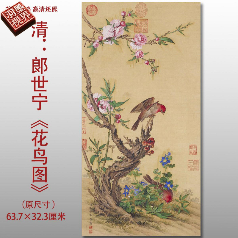 清郎世宁花鸟图彩色工笔花鸟画高清艺术微喷绢本画心临摹范本装饰图片