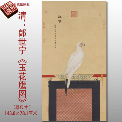 郎世宁玉花鹰图传统工笔花鸟图高