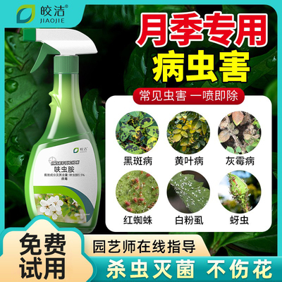 月季花病虫害常用药白粉病黑斑病专用花卉玫瑰杀虫剂非红蜘蛛蚜虫
