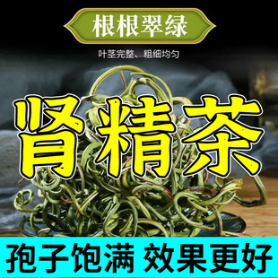 肾精草长白山野生化石草肾精茶黄金草嗷嗷叫正品 官方旗舰店补精草