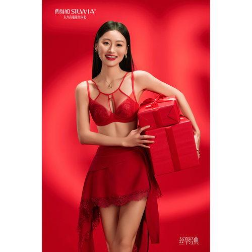 西维娅内衣正品桑蚕丝薄款BC杯大胸显小调整型刺绣文胸