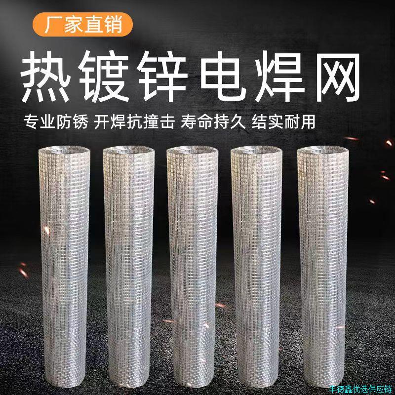 热镀锌铁丝网电焊网钢丝网家用养鸡鸭鹅不锈网鸽笼鸟笼防鼠防蛇*