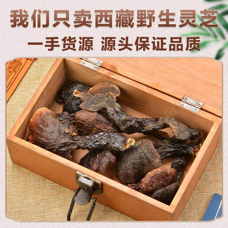 生西藏野灵芝正品白芯赤灵ECQ芝野芝生赤天灵芝然灵野生干货礼盒,传统滋补营养品,整枝灵芝,淘宝优惠券,粉丝福利购,淘宝优惠卷