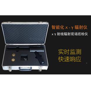 RP6000型X-Y辐射剂量率仪便携式伽马射线检测仪环保剂报警监测仪