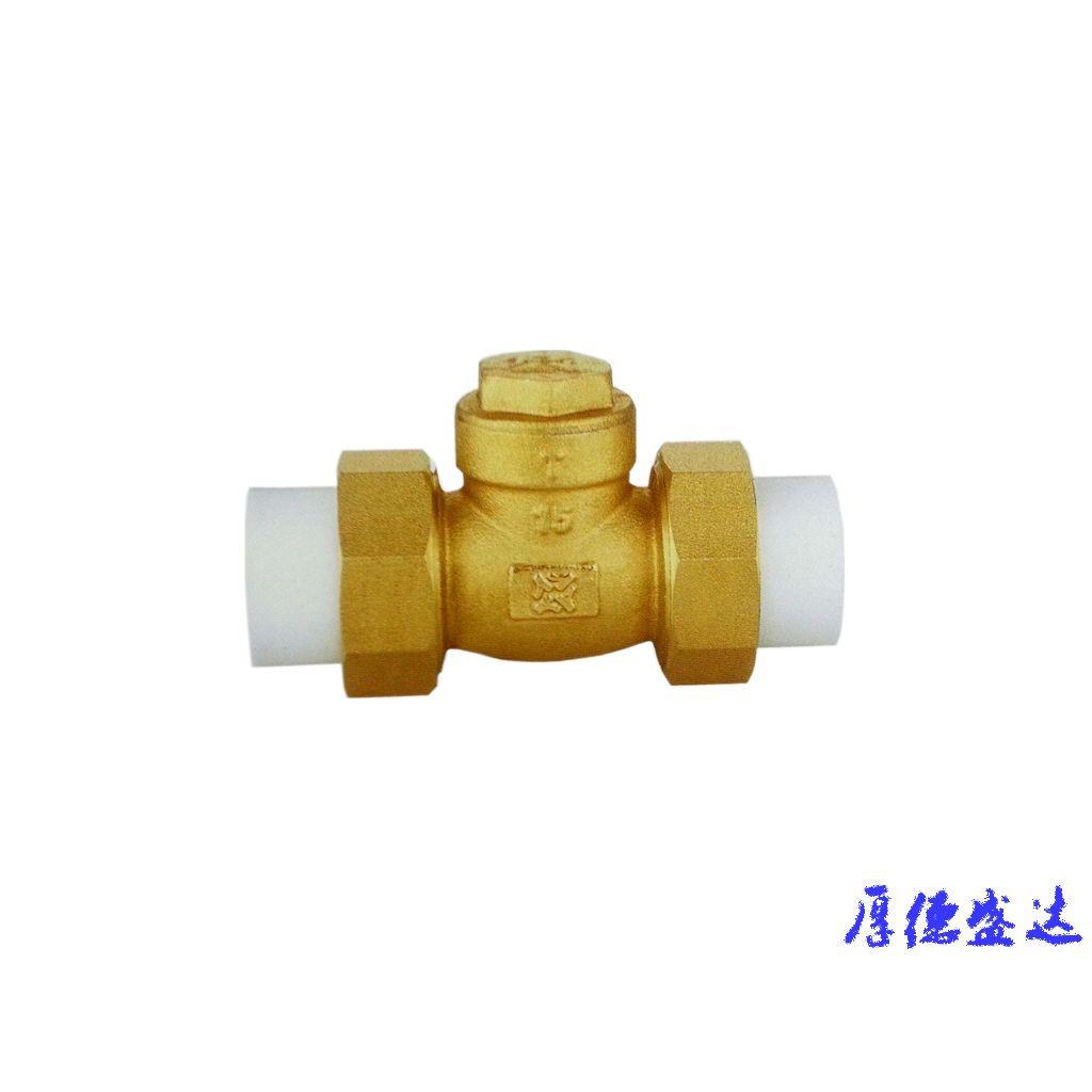 PPR截止阀 瑞格PPR止回阀 PPR外丝/内丝铜活接头RG301/02/03