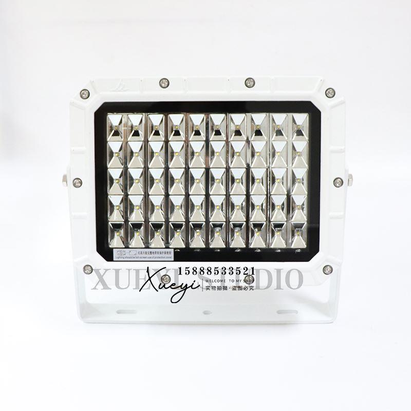 海星船用LED不锈钢投光灯TG21/22-L户外探照灯100W200W泛光灯CCS