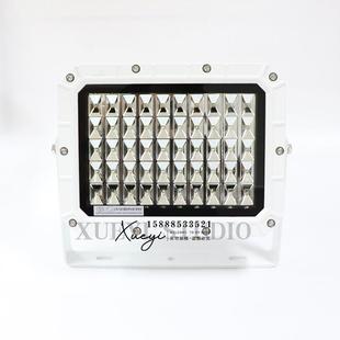 海星船用LED不锈钢投光灯TG21 L户外探照灯100W200W泛光灯CCS