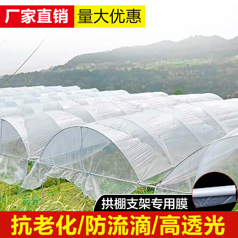 透明小拱棚膜塑料膜蔬菜大棚膜种菜农用薄膜育苗防寒保温pe塑料布图片