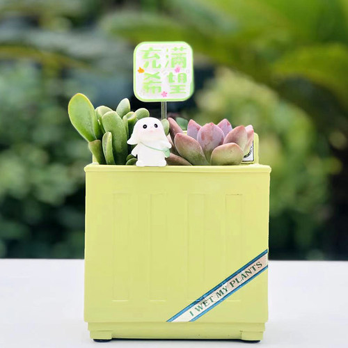 造型独特的花盆个性创意2022新款多肉小盆栽幼儿园好养宿舍桌面绿