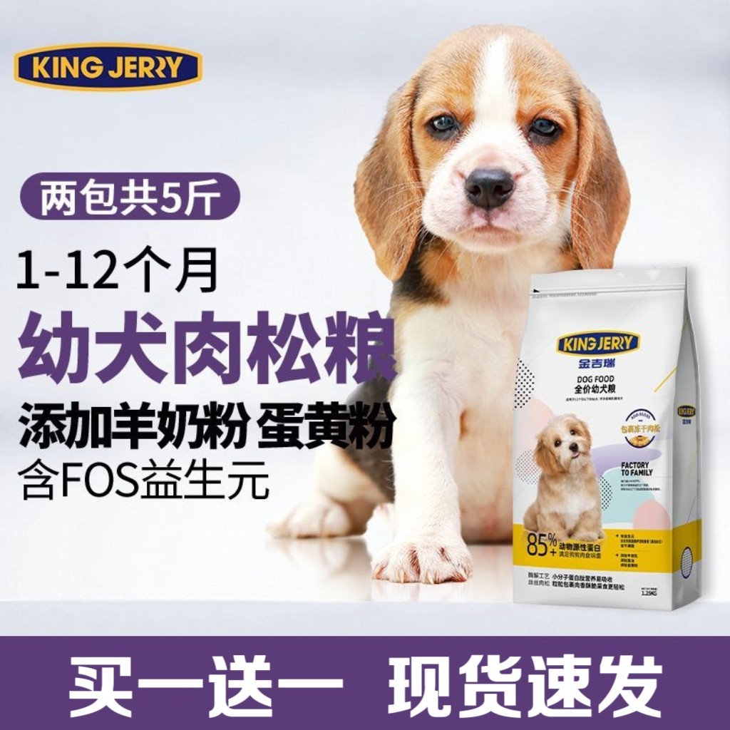 金吉瑞kingjerry幼犬狗