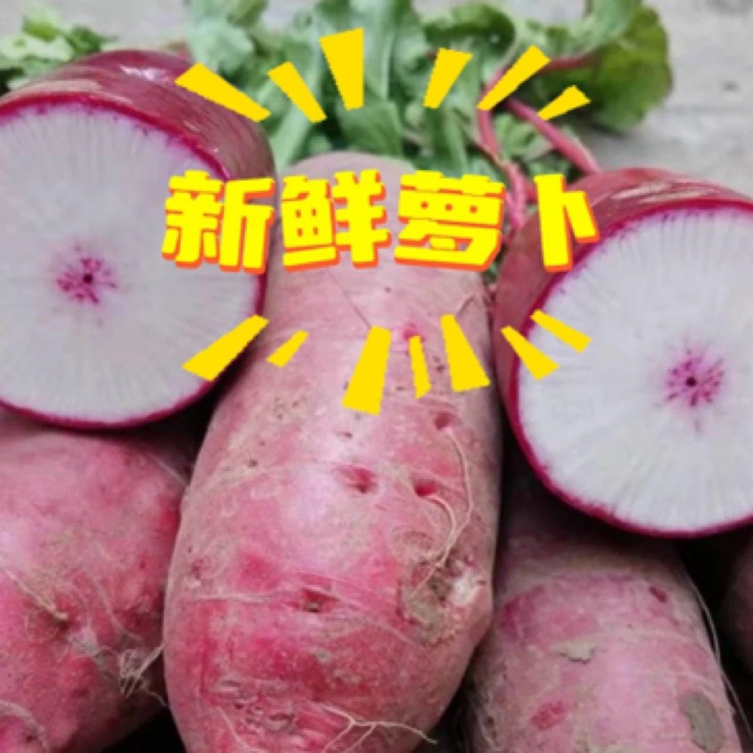 邳州新鲜穿心红萝卜现拔现发甜脆邳州农家紫皮水果萝卜徐州特产,水产肉类/新鲜蔬果/熟食,萝卜/胡萝卜,淘宝优惠券,粉丝福利购,淘宝优惠卷