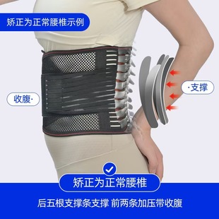 轻薄透气钢板支撑护腰带腰托腰椎腰肌劳损久坐久站腰围束腰 夏季