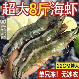 青岛大虾超大海虾鲜活冷冻白虾对虾速冻新鲜海捕大虾海鲜非基围虾