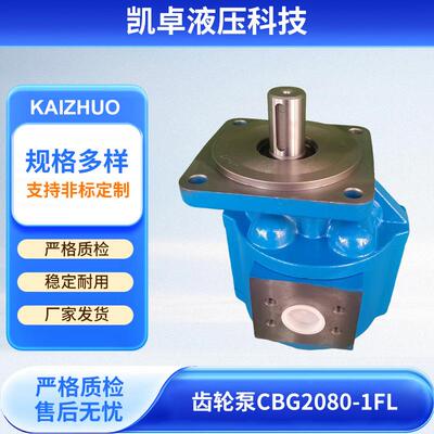 工程农业机械高压齿轮液压泵厂家耐用单联齿轮泵CBG2080-1FL