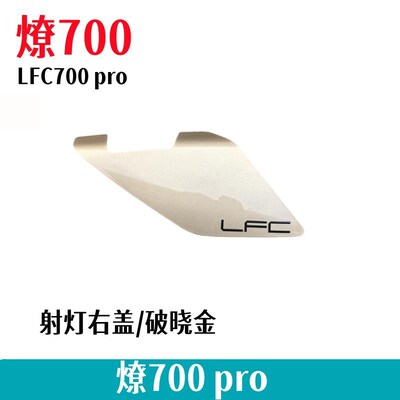 热销奔达燎700pro油箱盖板左右射灯盖板BD700-2摩托车导流罩原厂