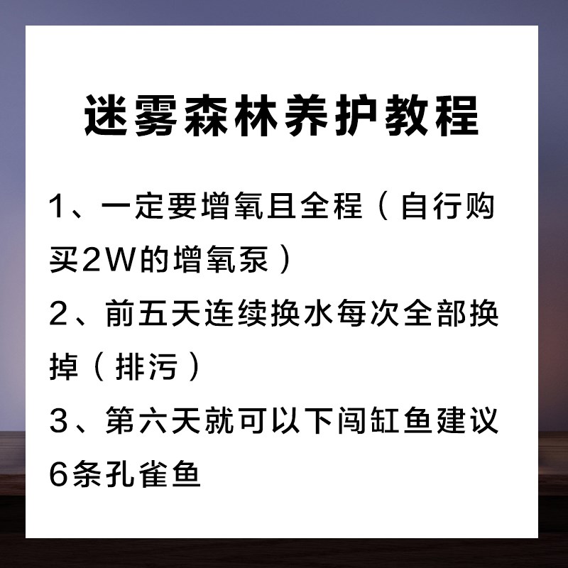 热销鱼缸造景适配当贝鱼缸成品一体式森林造景沉木石头真水草造景