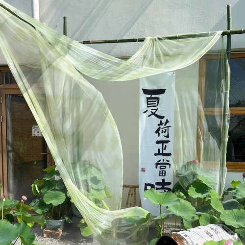 绿色渐变扎染纱幔古风中式婚庆