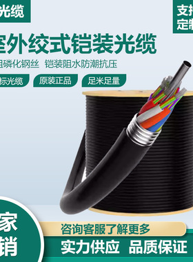 室外单模光缆铠装12/24/48/144/288芯户外光纤线GYTA/GYTS