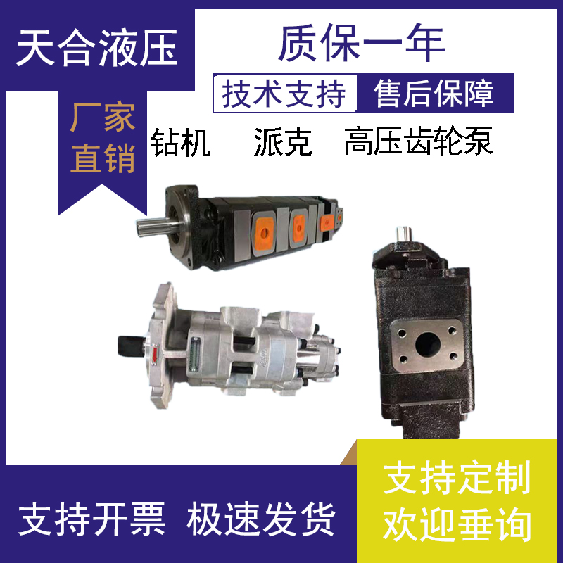 GPC4派克parker金科钻机580高液压20/25/32/40/50/63/80齿轮油泵