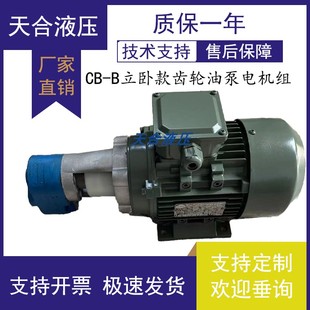 2.5JZ立卧润滑油泵0.37 B10JZ B4JZ齿轮油泵电机CB 0.55KW
