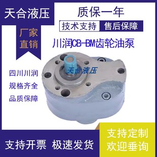 BM125 四川川润齿轮油泵CB BM63 BM50 BM160大流量原厂出品 BM40