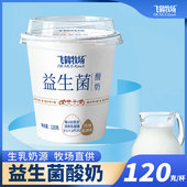 飞鹤牧场益生菌酸奶120g 杯风味发酵乳 北纬47°黄金奶源带
