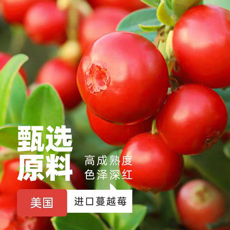 天山农夫纯曼越莓干烘培零食商用