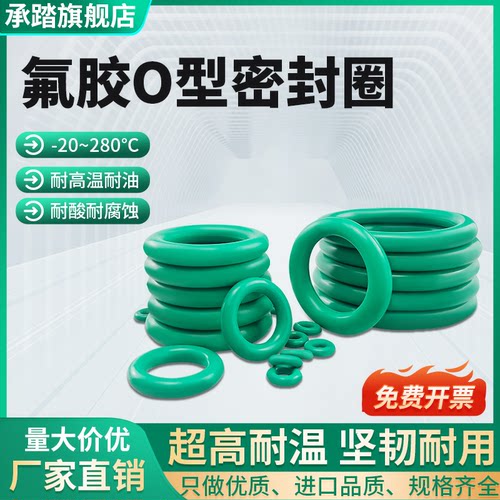 氟胶耐高温耐酸碱耐腐蚀O型圈