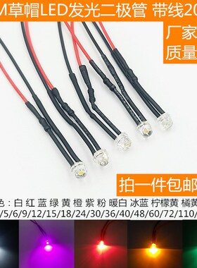 草帽灯5MM发光二极管3V12V24V220VLED带线20CM白红蓝绿黄指示灯