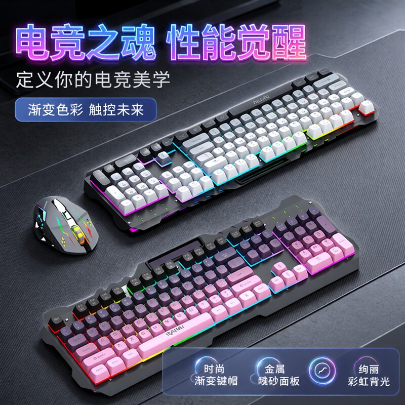 RAIKU雷魁电竞游戏键盘鼠标套装有线台式机有线USB金属渐变色键帽