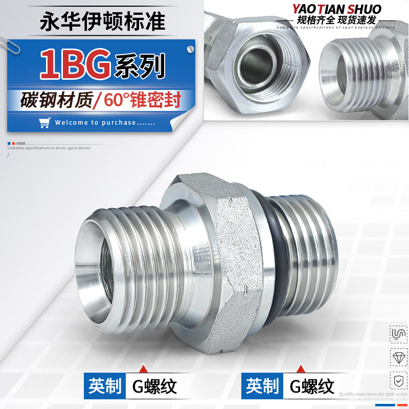 1BG英制G外螺纹60°内锥C型接头